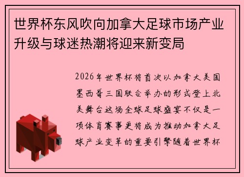 世界杯东风吹向加拿大足球市场产业升级与球迷热潮将迎来新变局